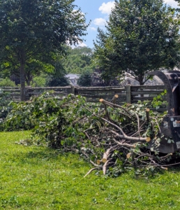 The branches are manually picked up and placed into the tractor's loader bucket.