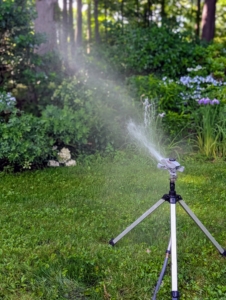 I designate one crew member to keep track of the watering, so sprinklers are rotated appropriately and water is never wasted.