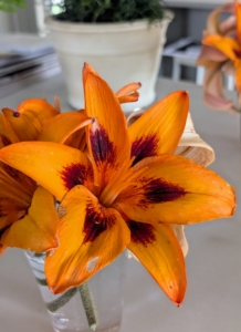 My kitchen counter is also decorated with flowers. These are some of the season's first tiger lilies that are blooming under my long pergola.