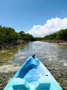 Dorian and her boyfriend, Tommy, also went on a guided kayak tour through the mangroves. Mangroves are tropical and subtropical trees and shrubs that thrive in coastal intertidal zones with low-oxygen soil and slow-moving water.