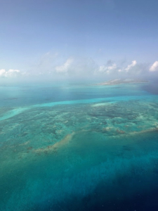 Dorian sits on the Board of Directors for The New York Celebrity Assistants Organization and won the trip as a raffle prize. It included a three night stay at the exclusive COMO Parrot Cay Hotel. Here she is just minutes from landing. The turquoise waters of the Turks and Caicos, or TCI, are a shade truly unique to the islands.