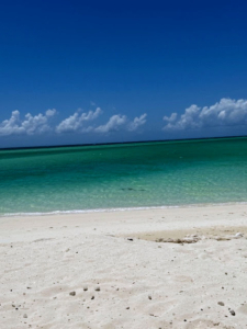 The sand in Turks and Caicos is known for its brilliant white, soft texture. It is primarily composed of naturally broken-down coral and seashells.