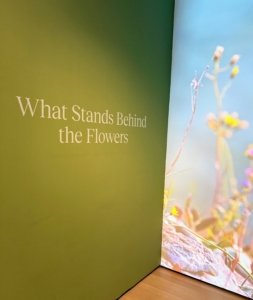 The exhibit "Hilma af Klint: What Stands Behind the Flowers" presents her daily observations of nature during the spring and summer months of 1919 and 1920 and how they unveil a deeper look into the human condition.