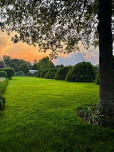 Carlos enjoys capturing photos of the setting sun. Many of the images in this gallery were taken just around 8pm in the evening. This is what I call my "soccer lawn" - the area where my grandson loves to play when he is visits.
