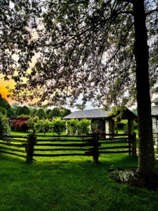 The structure on the right is my pavilion. It's become a favorite warm weather gathering spot here at the farm.
