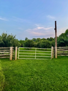 This gate leads to my orchard of more than 200 fruit trees. Since it was first planted in 2017, these trees have provided so many wonderful fruits.