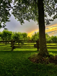 This is another photo, taken after 8pm - the skies show such beautiful colors.