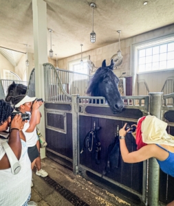 Here they are in the stable taking closeup photos of my handsome Friesian, Rinze - the patriarch of my herd.