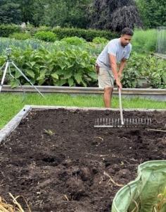 No bed is ever left empty during the garden season. After the garlic is harvested, the bed is cleaned and prepped for the next crop.