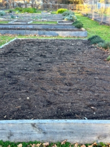 And then the garlic is left to grow. Garlic loves a rich fertile loam soil or a silty loam soil. It also grows best in an area that drains well – the cloves can rot if they sit in water or mud.