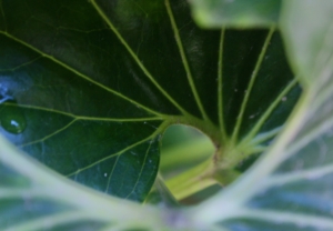 (Photo taken by Layla using a Canon EOS Rebel T6)