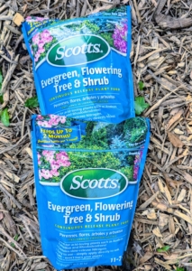 I use the appropriate Scotts fertilizer for evergreens and flowering trees and shrubs.