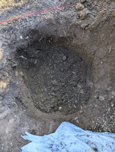 Each hole should be at least two to three times as wide and as deep as the height of the boxwood root ball.