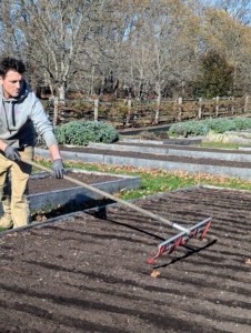 Here, Ryan prepares the bed for planting. The majority of garlic in the US is planted from mid-October through November before the ground freezes. When planting multiple rows of garlic, the rows are at least one-foot apart.