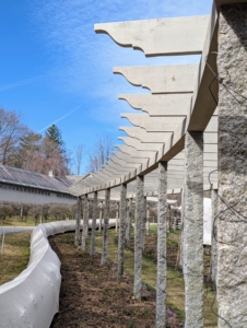 In winter, my pergola is sleeping – the boxwood border is covered in burlap and the beds are bare.