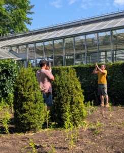 Not long ago, I instructed my head gardener, Ryan McCallister, to measure a new grid pattern for my new rose bed design. Ryan and Matthew measure from the center of the boxwood.