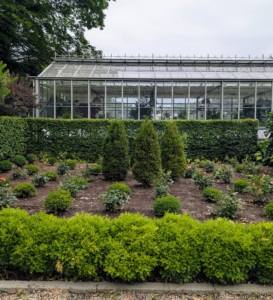 Here's the garden on the other side. I will be sure to share more photos as the plants become established and bloom again. Happy gardening.