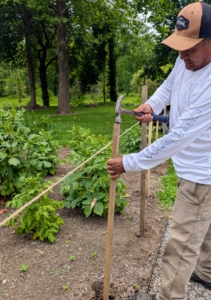 Then he pounds in strong stakes about a foot deep to anchor the outer edge. The twine here is used to ensure the stakes are straight.