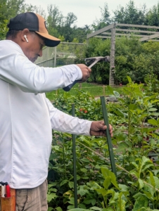 Pete does this around the entire perimeter to support any stems on the outer edge.