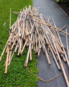I like to use strong bamboo. Bamboo canes are easy to buy in bulk, and can be found in a variety of sizes. These canes are about 10-feet long.