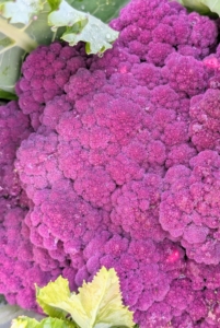 Here's a beautiful head of purple cauliflower. Purple cauliflower gets its color from anthocyanin, a naturally occurring phytochemical that is also found in other red, blue, or purple fruits and vegetables.