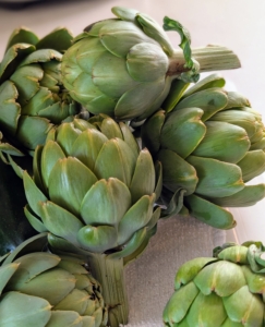 These freshly picked artichokes will be so delicious - I prefer them on the smaller size when they are less fibrous and oftentimes sweeter and more delicate in flavor.