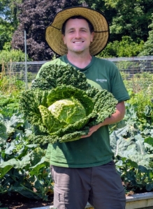 Ryan is holding one of my beautiful Savoy cabbages. The right time for cabbage harvesting depends on the variety of cabbage planted and when the heads mature. Look for heads that are firm all the way through when squeezed – that’s when they’re ready.