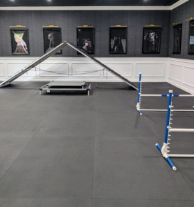 The room is also padded for safety and equipped with an agility A-frame and jumps for indoor stimulation and training.
