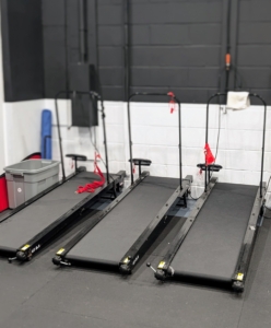 There are also exercise treadmills specifically designed for canine use and exercise when outdoor play is not possible.