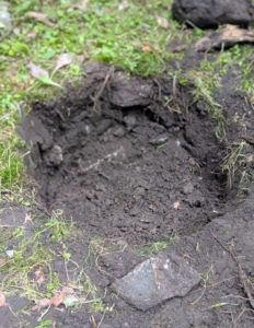The holes should be twice as wide and just as deep as the root ball. Also be sure the hole's sides slope slightly.