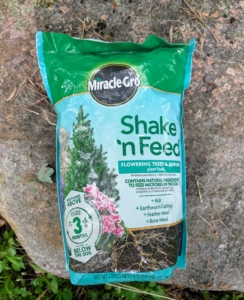 I feed with Miracle-Gro Shake ‘n Feed Plant Food – a dependable fertilizer that feeds for up to three months.