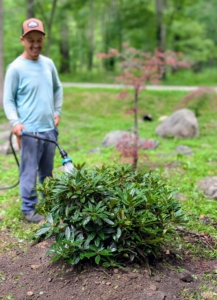 Chhiring follows with another watering. He is using a Gilmour hose and wand. I've been using Gilmour for years. Gilmour hoses and sprinklers are excellent and very durable.