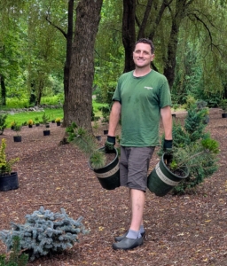 Here's Ryan also positioning some potted pines - the varying colors of the trees and shrubs will look so beautiful together.