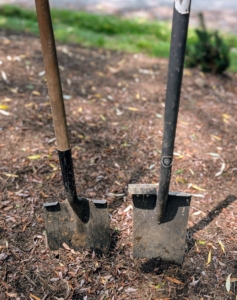 I always encourage my team to use the right tools for the right jobs. Do you know the difference between a shovel and a spade? A shovel is longer, angled, and its blade is curved into more of a scoop with a pointed tip. Shovels are better for digging up, breaking apart, and lifting soil as well as for scooping and moving loose materials. A spade has a relatively flat blade with straight edges and the blade tends to be in line with the shaft, rather than angled forward. Spades are good for edging and cutting.