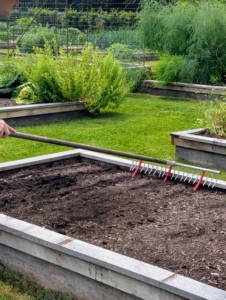 I’m a firm believer of succession planting, the practice of following one crop with another to maximize a garden’s yield. It is a very efficient use of gardening space and time. Here, Ryan makes furrows for the next crop using Johnny's Bed Preparation Rake.