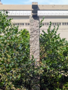 The posts are the same 18th-century Chinese granite uprights I use for the clematis pergola, my apple espaliers, and my raspberry bushes.
