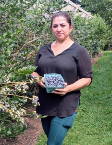 Here's Enma with a full box of berries - picked in just a few minutes. I grow many blueberry varieties, including ‘Bluegold’, ‘Chandler’, ‘Darrow’, ‘Jersey’, and ‘Patriot’.