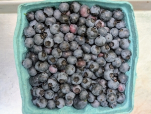 Blueberries are covered in a protective powdery epicuticular wax known as the “bloom”. Blueberries are high in fiber, high in vitamin-C, and contain one of the highest amounts of antioxidants among all fruits and vegetables.