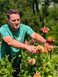 And as the flowers finish blooming, when petals have begun to wilt, fade, or turn brown around the edges, it's time to deadhead, or remove spent flowers.