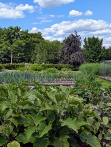 Everyone always asks what I do with all the vegetables I grow. I share them with my family, but I also share the bounties with friends, colleagues, and my hardworking crew here at the farm. I also provide fruits, vegetables, and eggs for photography and video shoots. And, of course, all my birds get vegetables too.