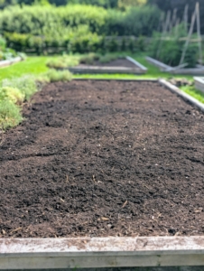 The bed is ready for planting. What do you think I'll plant next?