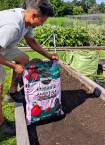 Matthew puts down a fresh layer of Miracle-Gro Organic Raised Bed & Garden Soil, which contains a quick release natural fertilizer.