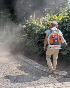 We’ve been using STIHL’s backpack blowers for years here at my farm. These blowers are powerful and fuel-efficient. The gasoline-powered engines provide enough rugged power to tackle heavy debris while delivering low emissions. Fernando blows the debris along the garden bed under my allée of lindens.