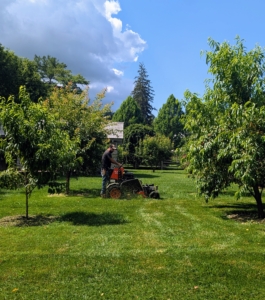 ... from one end to the other. This stand on mower can do open areas as well as narrower spaces.