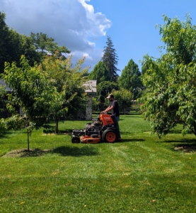 This is my outdoor grounds crew resident mower, Adan, on our Kubota SZ22 Stand On Mower. He mows every day during the summer. He is excellent at keeping up with the growth and knows exactly when to mow what area next. Here he is in the orchard, carefully mowing in between the trees...
