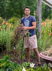 Weeds in the garden are inevitable - left alone, so many of them quickly overtake healthy flowers, plants, and vegetables, stealing their sunlight, water, and soil nutrients. Every summer, my gardeners and crew try try hard to keep up with their rapid growth. Here's Matthew weeding my long pergola before all the bright, beautiful tiger lilies bloom.