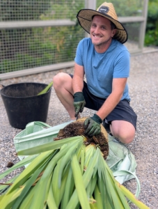 Walking iris plants grow from rhizomes, or thickened stems that grow underground and serve as storage for water and other nutrients. Here is Ryan as he starts to divide the plant in two.