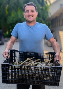 Ryan takes all the newly picked garlic to one area of my carport where it can cure for several weeks in a cool, shady, and dry location. Curing is a process of letting the garlic dry in preparation for long-term storage.
