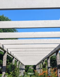 And this year, I restored the winding 300-foot pergola and replaced the 20-year old timeworn wood with new beams and cedar rafter tails.