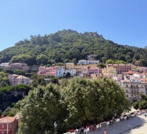 In Sintra, most public buildings remain closed due fire risk and the current severe drought in the area. Local governments are trying to address the challenging conditions - hopefully the region will get rain soon.